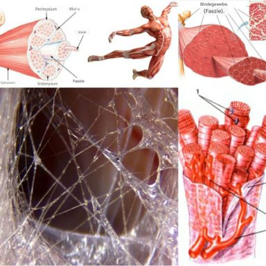 Faszienmassage zur Lösung von Gewebespannungen.